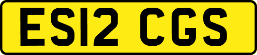 ES12CGS