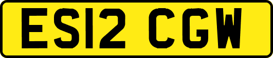 ES12CGW