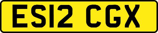 ES12CGX