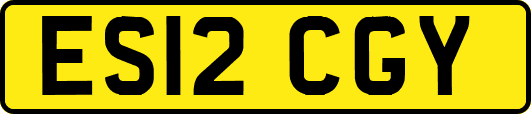 ES12CGY