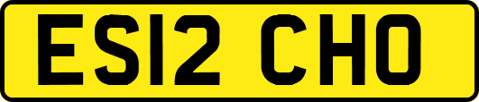 ES12CHO