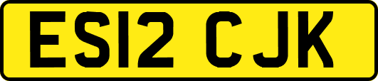 ES12CJK