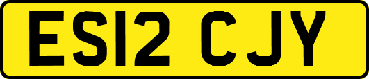 ES12CJY