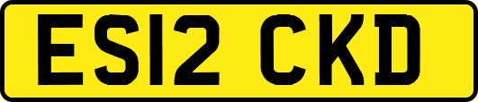 ES12CKD