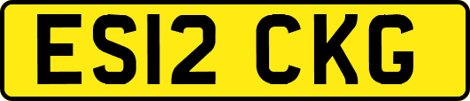 ES12CKG