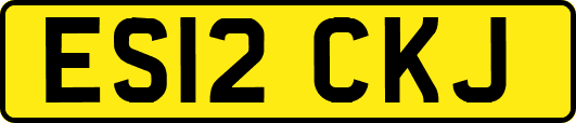 ES12CKJ