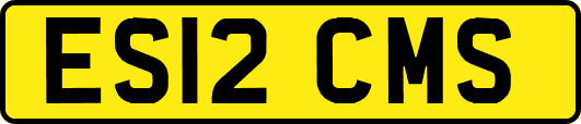 ES12CMS