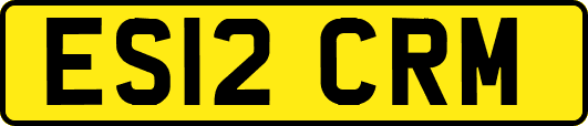 ES12CRM