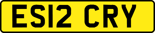 ES12CRY