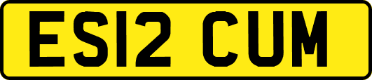 ES12CUM