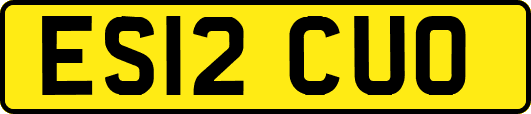 ES12CUO