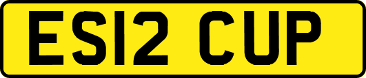 ES12CUP