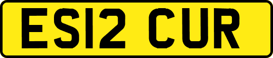 ES12CUR