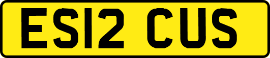 ES12CUS