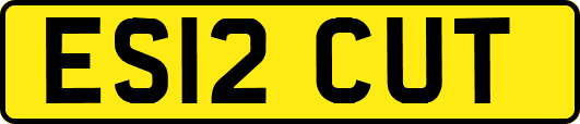 ES12CUT