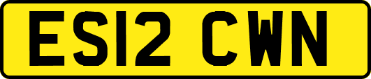 ES12CWN