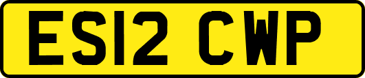 ES12CWP