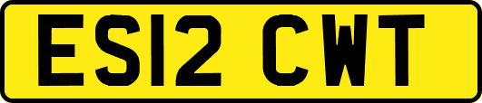 ES12CWT