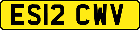 ES12CWV