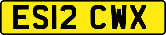 ES12CWX