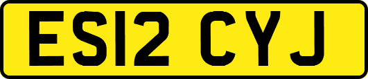 ES12CYJ