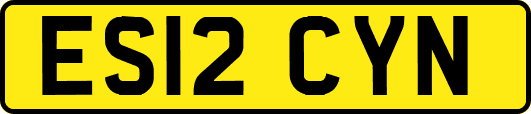 ES12CYN