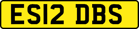 ES12DBS