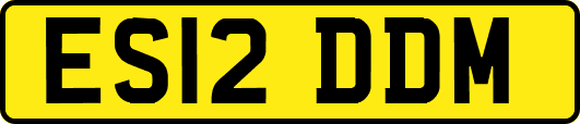 ES12DDM