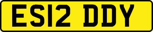 ES12DDY