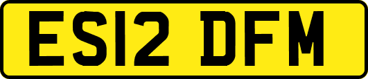 ES12DFM