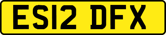 ES12DFX