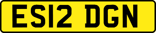 ES12DGN