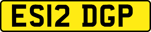 ES12DGP