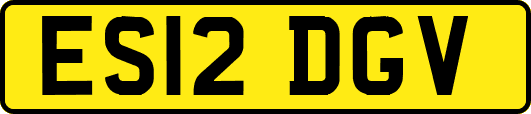 ES12DGV
