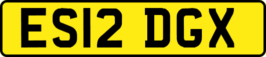 ES12DGX