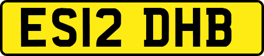 ES12DHB