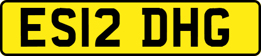 ES12DHG