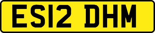 ES12DHM