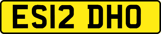 ES12DHO
