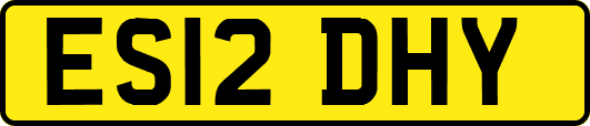 ES12DHY
