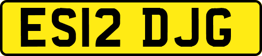 ES12DJG