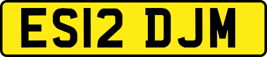 ES12DJM