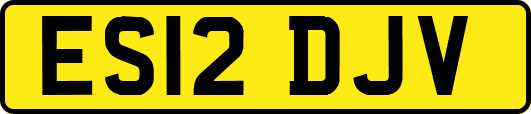 ES12DJV