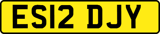 ES12DJY