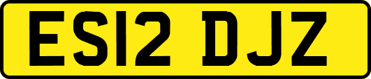 ES12DJZ