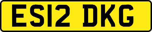 ES12DKG
