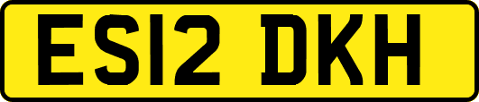 ES12DKH