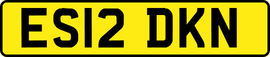 ES12DKN