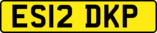 ES12DKP