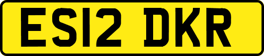 ES12DKR